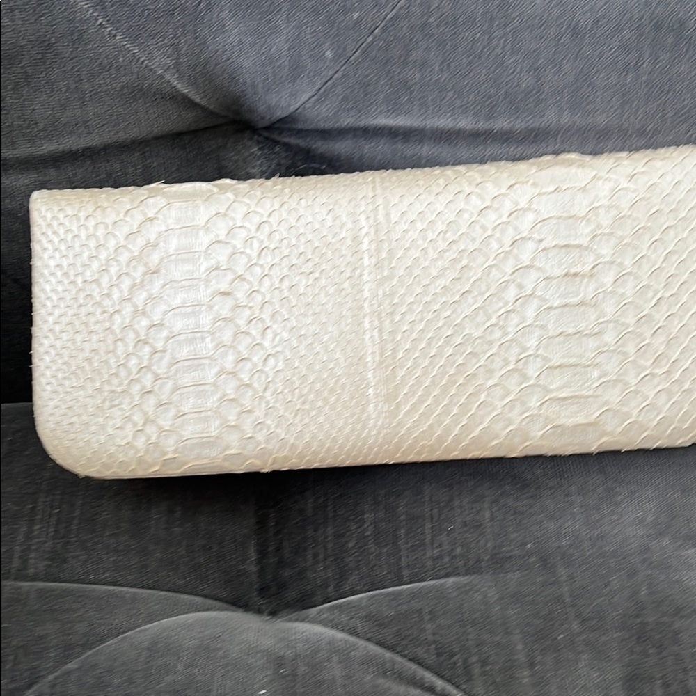 Kara Ross skin Clutch with Gold Hardware - Picture 5 of 14